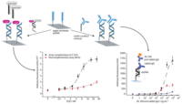 Analytical Devices Based on Direct Synthesis of DNA on Paper Publications