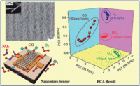 Electronic nose for toxic gas detection based on photostimulated core–shell nanowires Publications