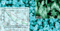 Homoepitaxial branching. An unusual polymorph of zinc oxide derived from seeded solution growth Publications