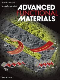 image_m_adfm201670091 gra 0001 m Publications