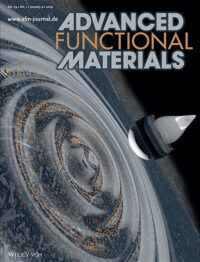 adfm201970002-gra-0001-m-mid Publications