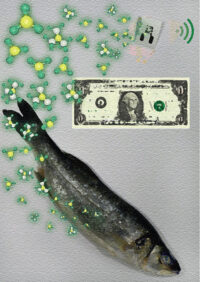 Modified-Cover-Page Publications